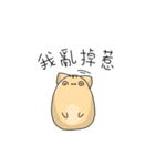 Q！Animal！（個別スタンプ：4）