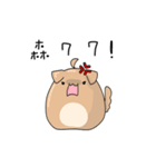 Q！Animal！（個別スタンプ：11）