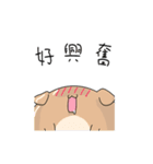 Q！Animal！（個別スタンプ：12）