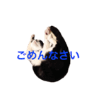 ほくろ＆くるりお気楽生活（個別スタンプ：5）