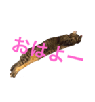 ほくろ＆くるりお気楽生活（個別スタンプ：6）
