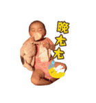 Cynthia Babe（個別スタンプ：10）