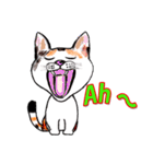 三毛ちゃんの日常（個別スタンプ：3）