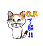 三毛ちゃんの日常（個別スタンプ：4）