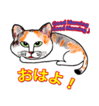 三毛ちゃんの日常（個別スタンプ：6）