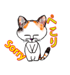 三毛ちゃんの日常（個別スタンプ：8）
