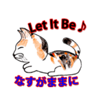 三毛ちゃんの日常（個別スタンプ：9）