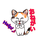 三毛ちゃんの日常（個別スタンプ：14）