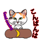 三毛ちゃんの日常（個別スタンプ：16）
