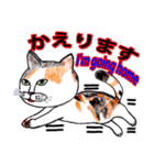 三毛ちゃんの日常（個別スタンプ：22）