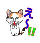 三毛ちゃんの日常（個別スタンプ：24）
