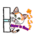 三毛ちゃんの日常（個別スタンプ：25）