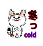 三毛ちゃんの日常（個別スタンプ：33）