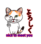 三毛ちゃんの日常（個別スタンプ：34）
