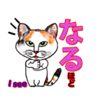 三毛ちゃんの日常（個別スタンプ：35）