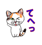 三毛ちゃんの日常（個別スタンプ：36）