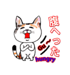 三毛ちゃんの日常（個別スタンプ：38）