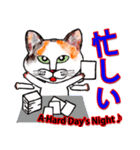 三毛ちゃんの日常（個別スタンプ：39）