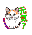 三毛ちゃんの日常（個別スタンプ：40）