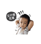kitten's life I（個別スタンプ：6）