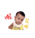 Ryderbaby（個別スタンプ：7）