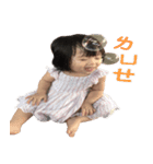 Sunny Luo（個別スタンプ：5）