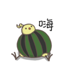 watermelon bird（個別スタンプ：1）