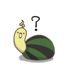 watermelon bird（個別スタンプ：3）