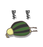 watermelon bird（個別スタンプ：6）