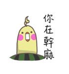 watermelon bird（個別スタンプ：9）