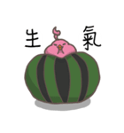 watermelon bird（個別スタンプ：11）