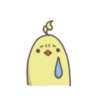 watermelon bird（個別スタンプ：13）