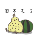 watermelon bird（個別スタンプ：14）