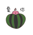 watermelon bird（個別スタンプ：15）