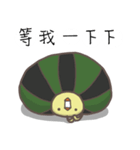 watermelon bird（個別スタンプ：16）