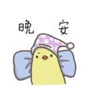 watermelon bird（個別スタンプ：27）