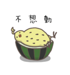 watermelon bird（個別スタンプ：29）