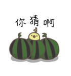 watermelon bird（個別スタンプ：35）