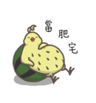 watermelon bird（個別スタンプ：37）