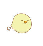 Chick's every day（個別スタンプ：36）