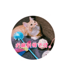 melちゃん（個別スタンプ：1）
