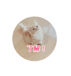 melちゃん（個別スタンプ：2）