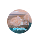 melちゃん（個別スタンプ：3）