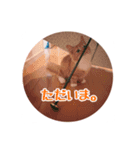 melちゃん（個別スタンプ：6）