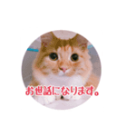 melちゃん（個別スタンプ：7）