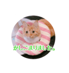 melちゃん（個別スタンプ：8）