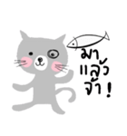 Meawmeaw in August, a grey cat（個別スタンプ：17）