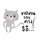 Meawmeaw in August, a grey cat（個別スタンプ：33）