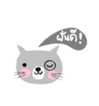 Meawmeaw in August, a grey cat（個別スタンプ：39）