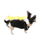 たたやんstamp♪（個別スタンプ：3）